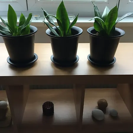 Apartmán Vodná 4 Košice